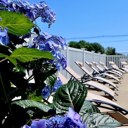Sea View Motel Ogunquit Buitenkant foto
